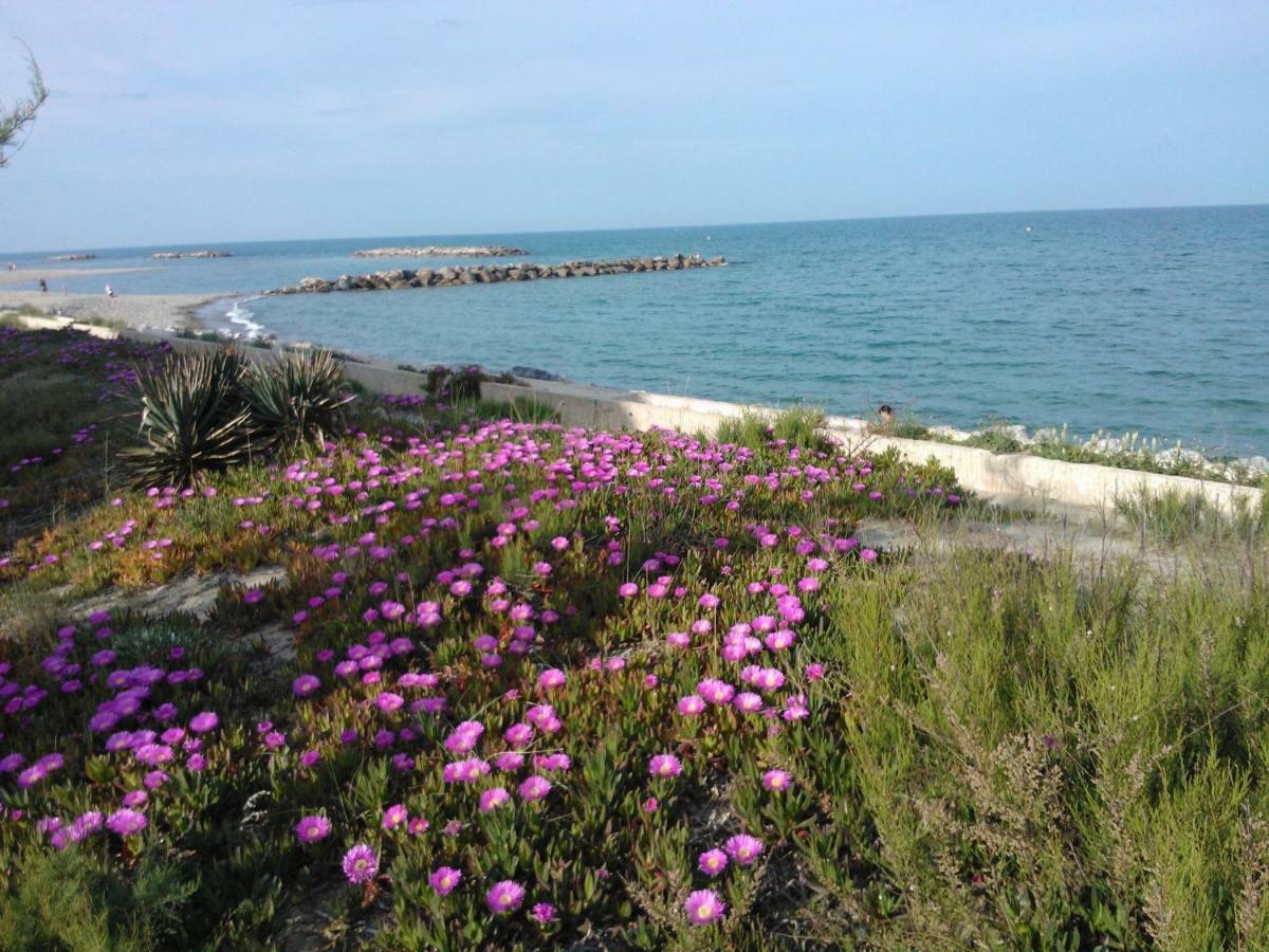 Barcaresa-Ravissant Appartement Piscine Vue Mer Wifi Parking Gratuit Le Barcarès Buitenkant foto